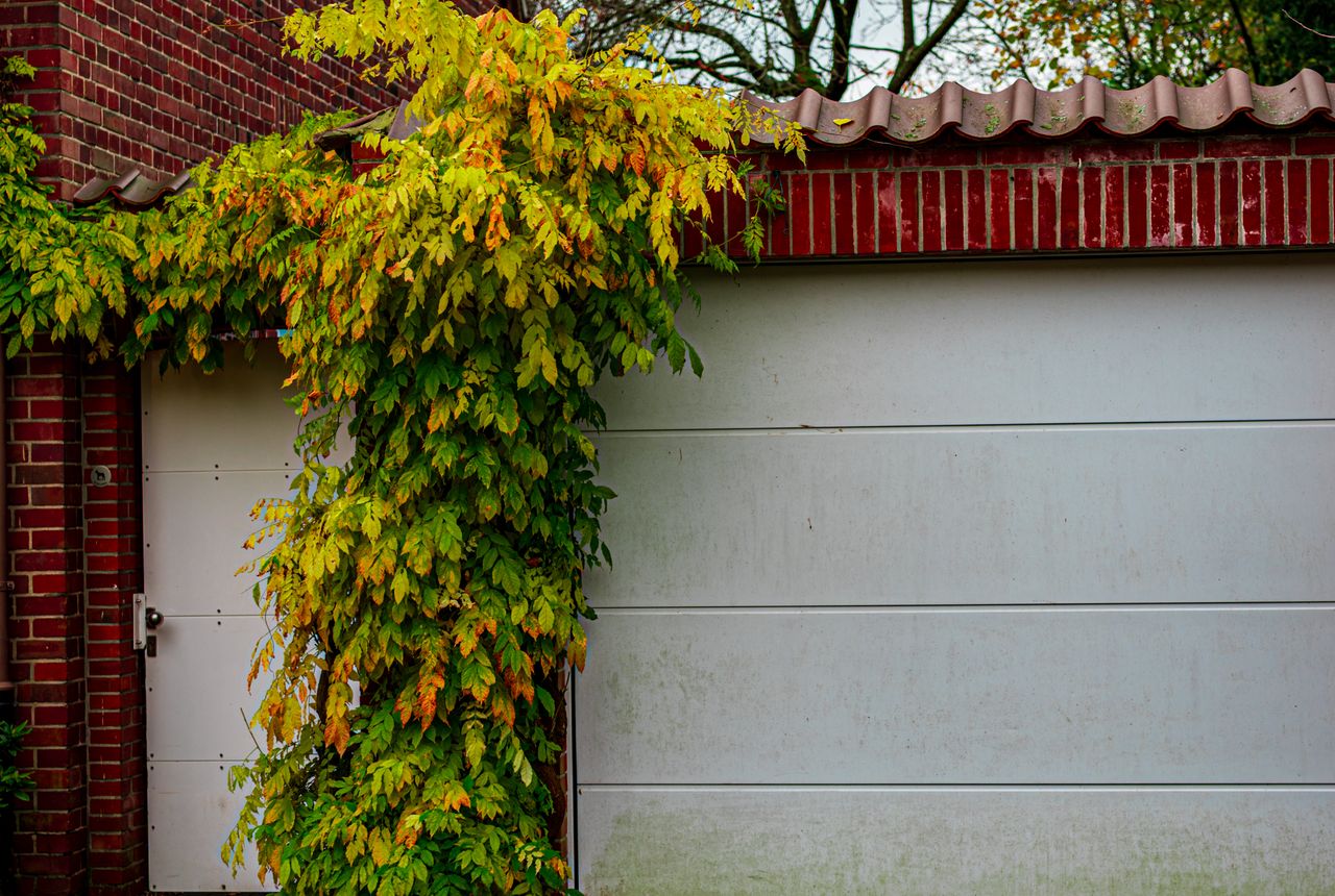 Garage door service in Rockville, MD